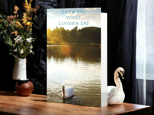 Let's Do What Lover's Do