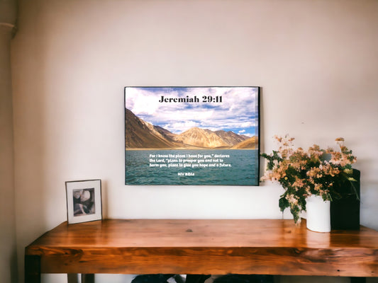 Jeremiah 29:11  22 x 28  Wall Poster