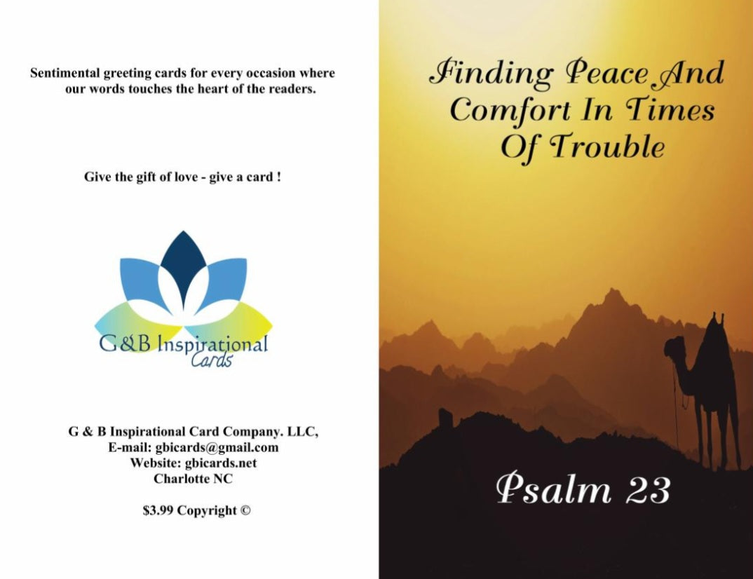 Finding Peace And Comfort In Time Of Trouble ( Psalms 23 )