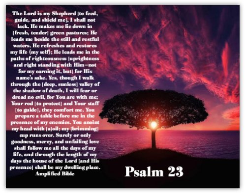 Psalm 23 22 x 28 Wall Poster